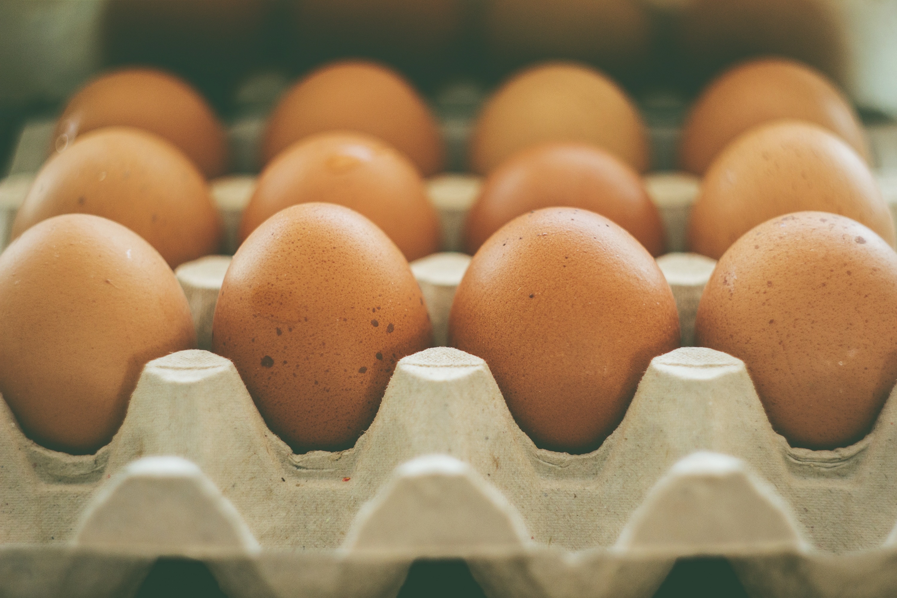 egg trade d.o.o. subotica
